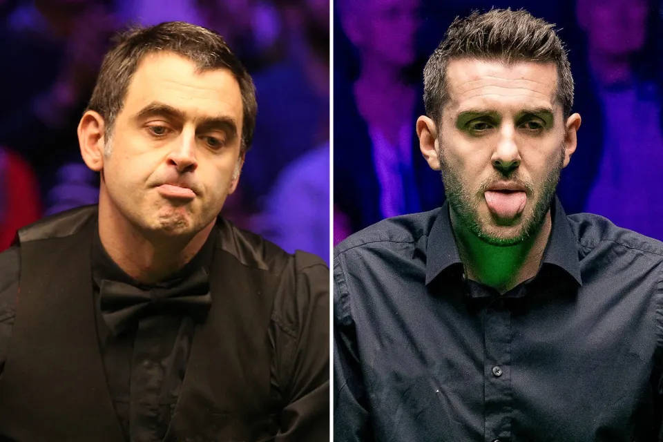 将这个机会 将这个机会